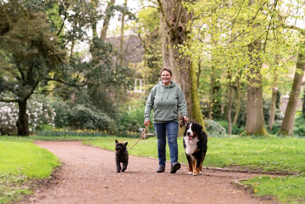 alltagsbegleiter-hundetraining-grossenkneten-oldenburg-hundeschulde-koetercollege